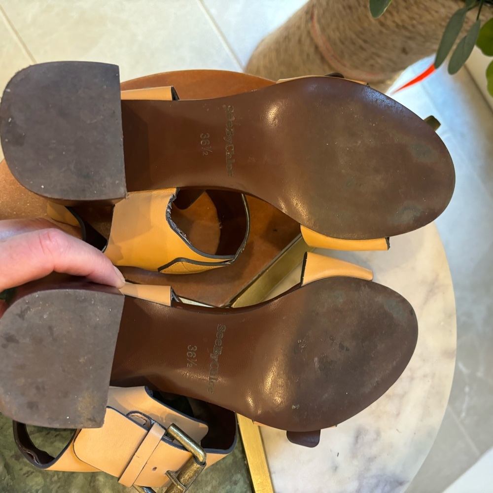 Seebychloe - Picture 9 of 10